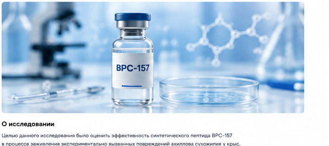 Влияние NAD+ на процессы старения
